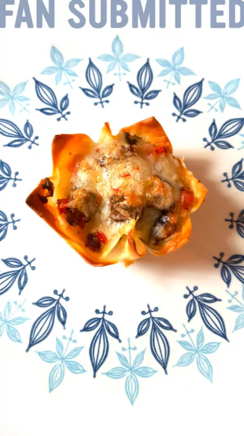 Sweet Earth Santa Fe Wonton Tacos